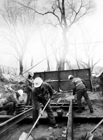 臥式千斤頂和卷?yè)P(yáng)機(jī)助力百噸老樹(shù)搬家