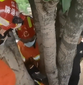 千斤頂救援工作